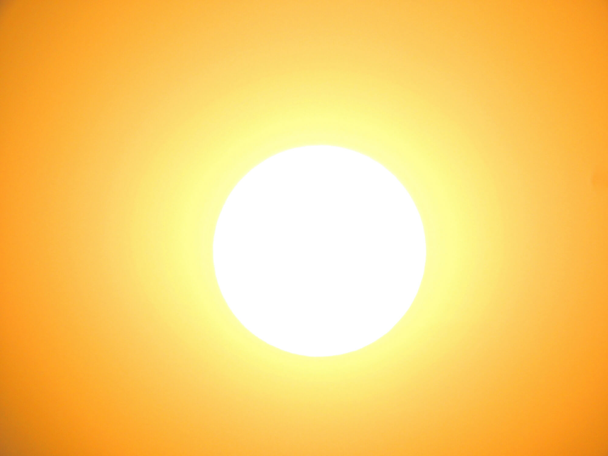 rajiv bajaj i4qiqfctkn8 unsplash